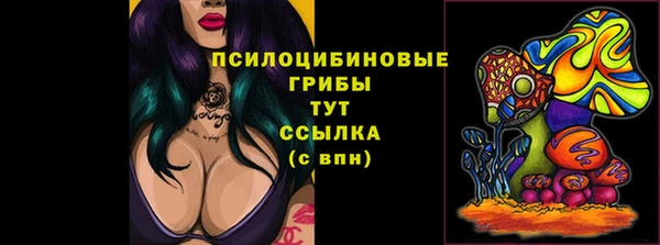 ПСИЛОЦИБИНОВЫЕ ГРИБЫ Лиски