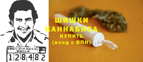 прущие грибы Липки