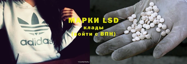 прущие грибы Липки