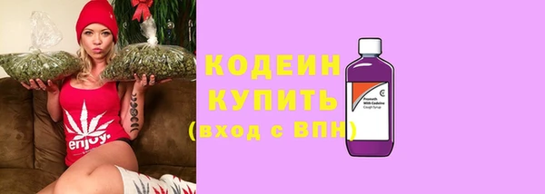 прущие грибы Липки