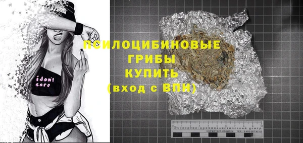 прущие грибы Липки