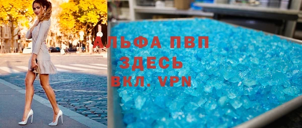 прущие грибы Липки