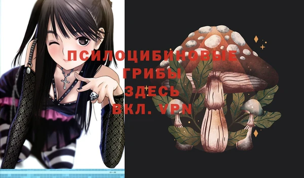 прущие грибы Липки
