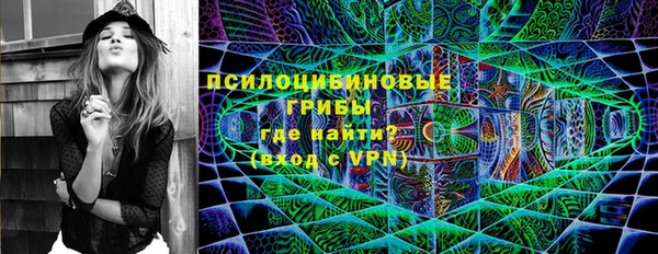ПСИЛОЦИБИНОВЫЕ ГРИБЫ Лиски