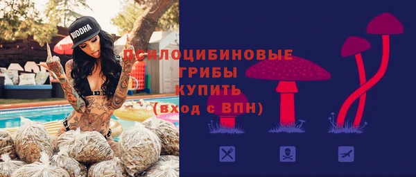 прущие грибы Липки