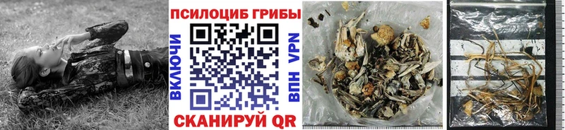 Галлюциногенные грибы мицелий  Купить где  Нягань 
